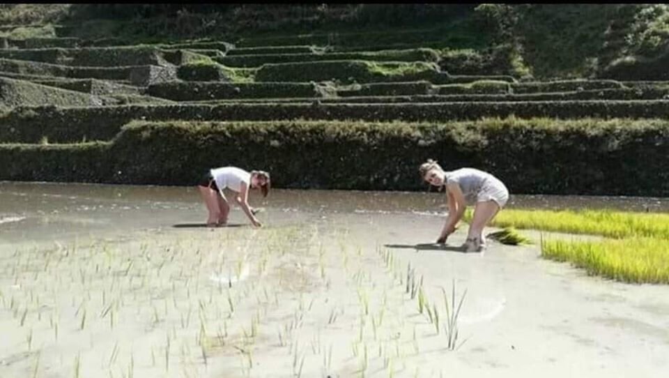Stranded tourists in Banaue during enhanced community quarantine