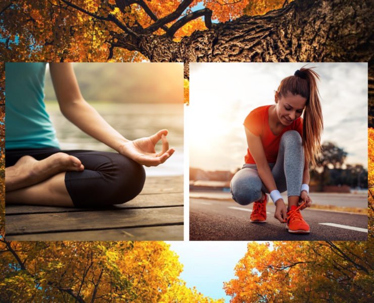 Sun Life Health Investment