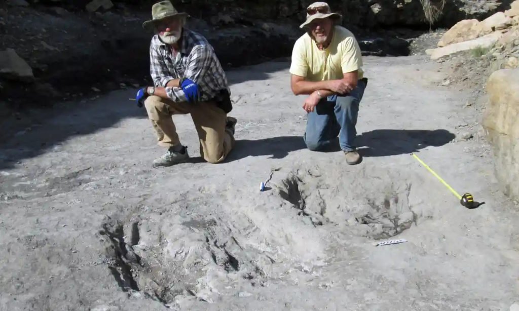 Martin Lockley and Ken Cart beside two large Cretaceous-age scrapes from western Colorado. Photo Credit: M Lockley/AFPGetty Images