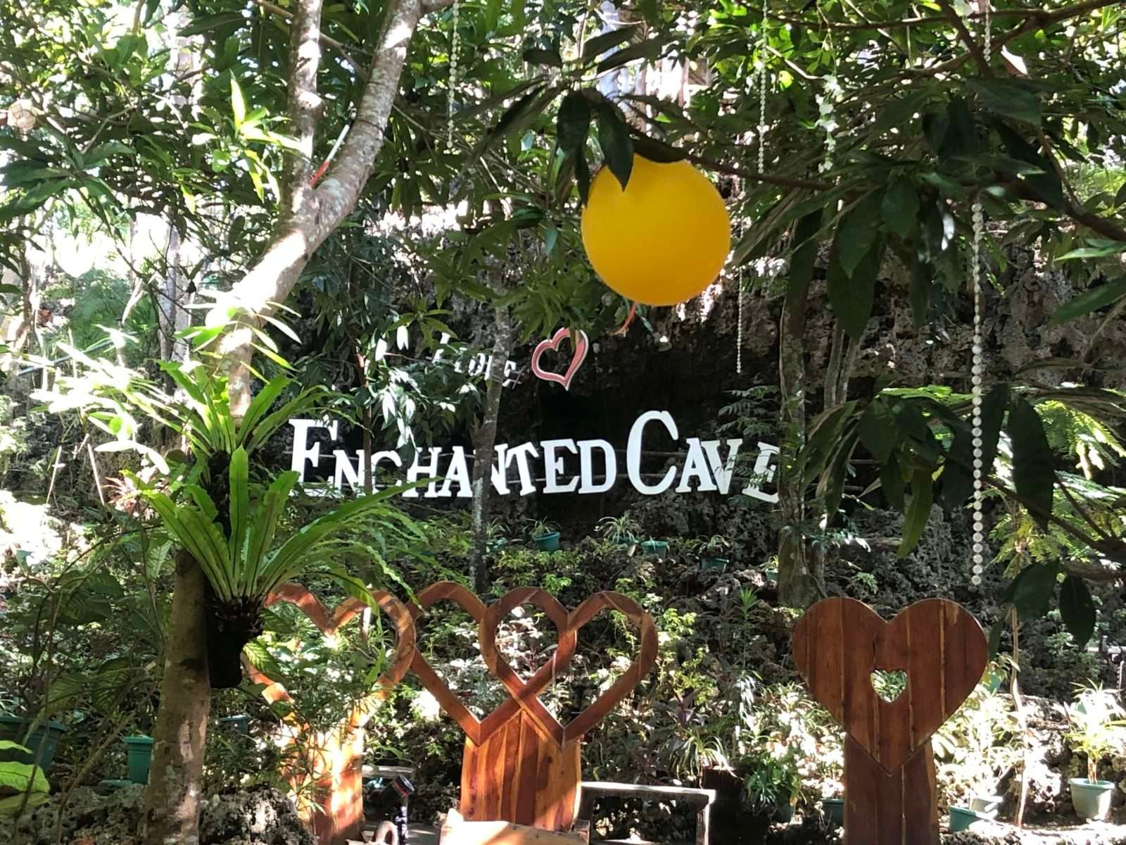 Enchanted Dave