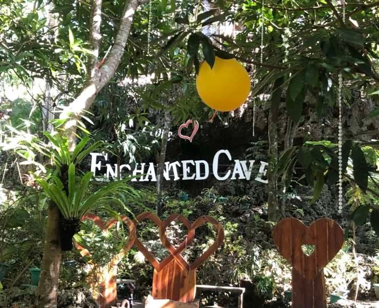 Enchanted Dave