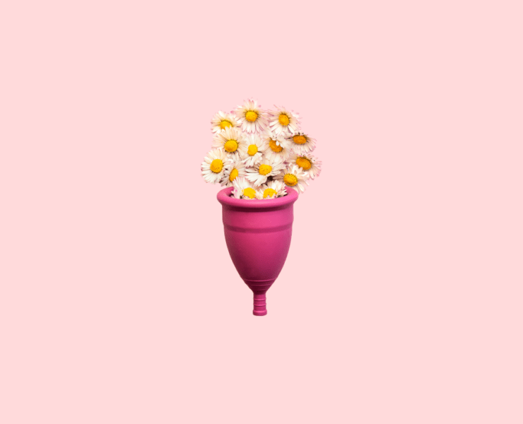 Pads to Menstrual Cups Why Switch