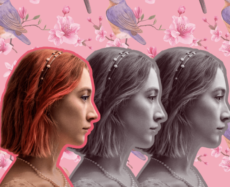 The Different Shades of Lady Bird