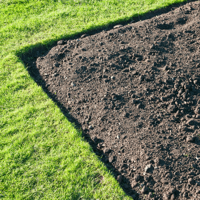 5 Tips for Gardening at Home 1