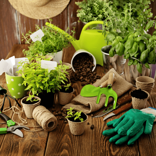 5 Tips for Gardening at Home 3