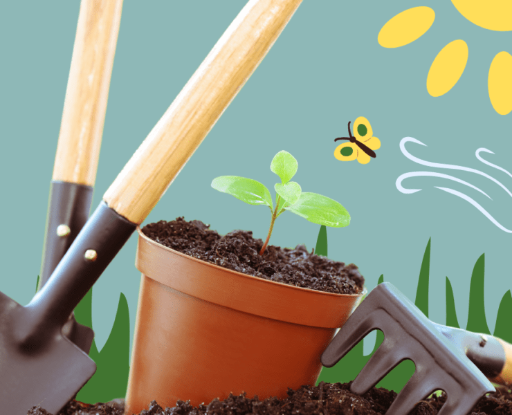 5 Tips for Gardening at Home