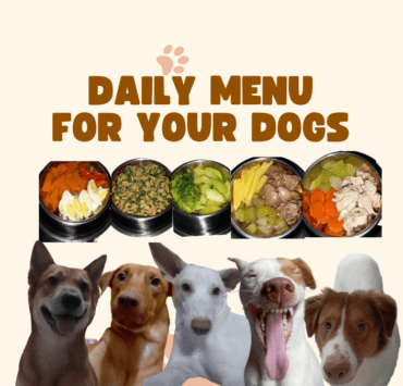 daily menu for dogs
