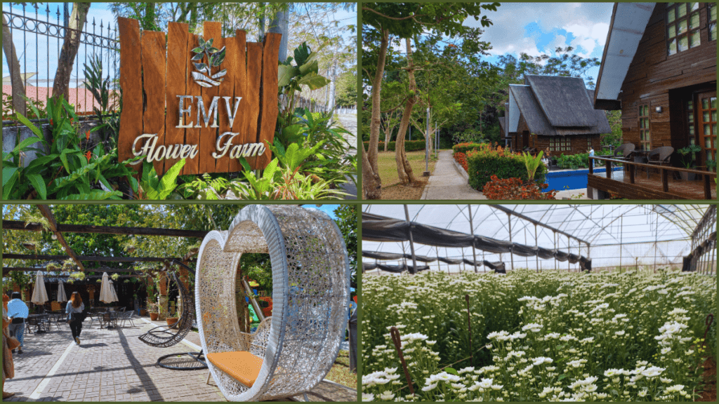 EMV Flower Farm in Indang, Cavite