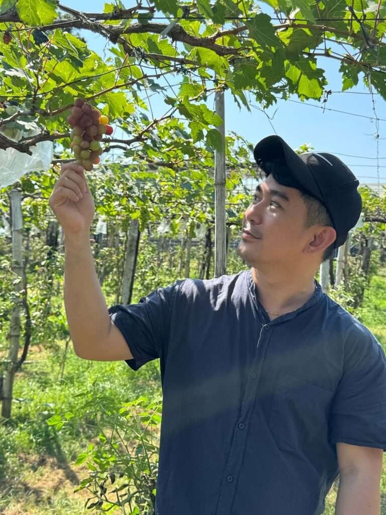 A tourist enjoying grape picking at La Union.