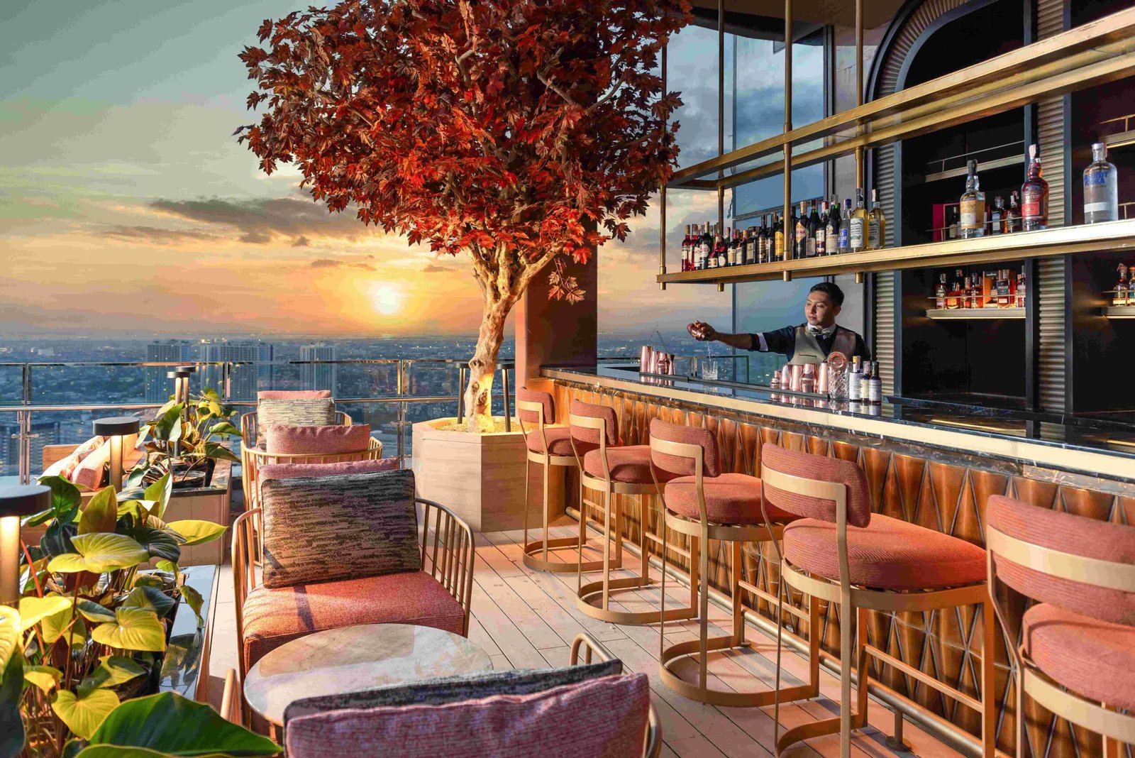 Solaire Resort North
