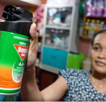 Dengue Taposible