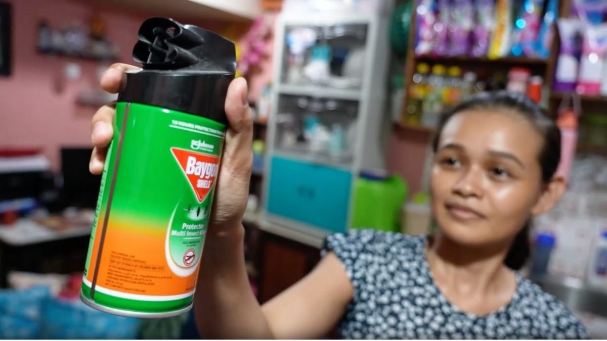 Dengue Taposible