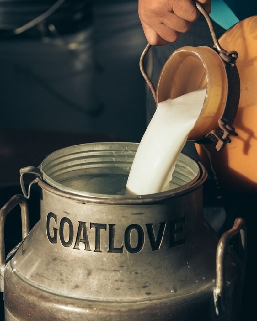GOAT MILK